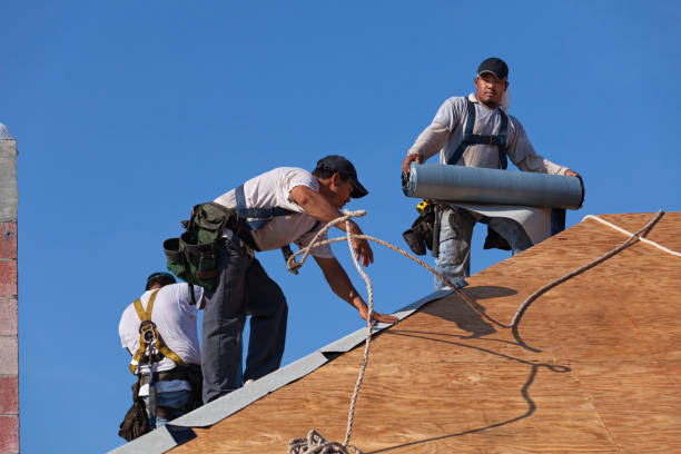 Quick and Trustworthy Emergency Roof Repair Services in Bloomington, MN